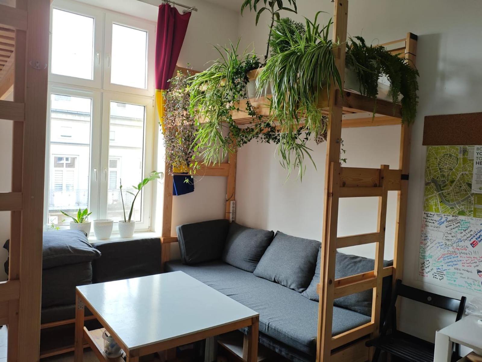 Evergreen Hostel Cracovia Esterno foto